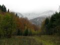 Str�ov v oblakoch